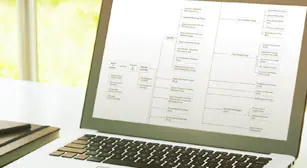 TDK Organization